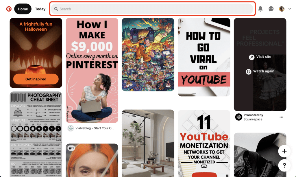 search bar in pinterest